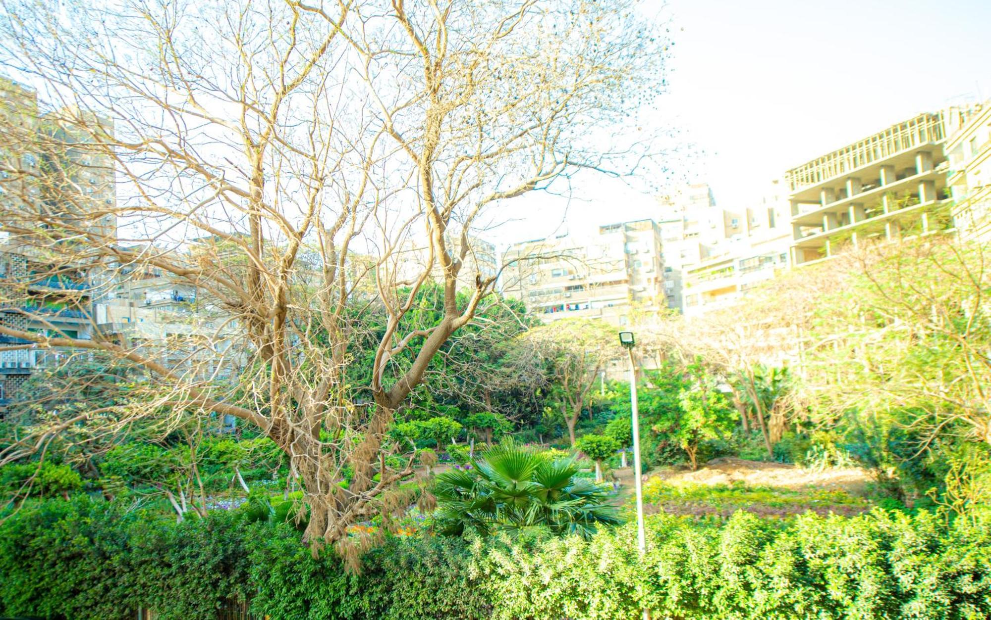 Elegance Tower Aparthotel Giza Luaran gambar